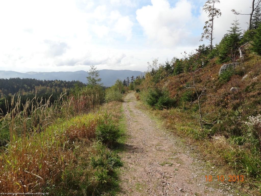 Philosophische Bildwanderung Sasbachwaldener Steig