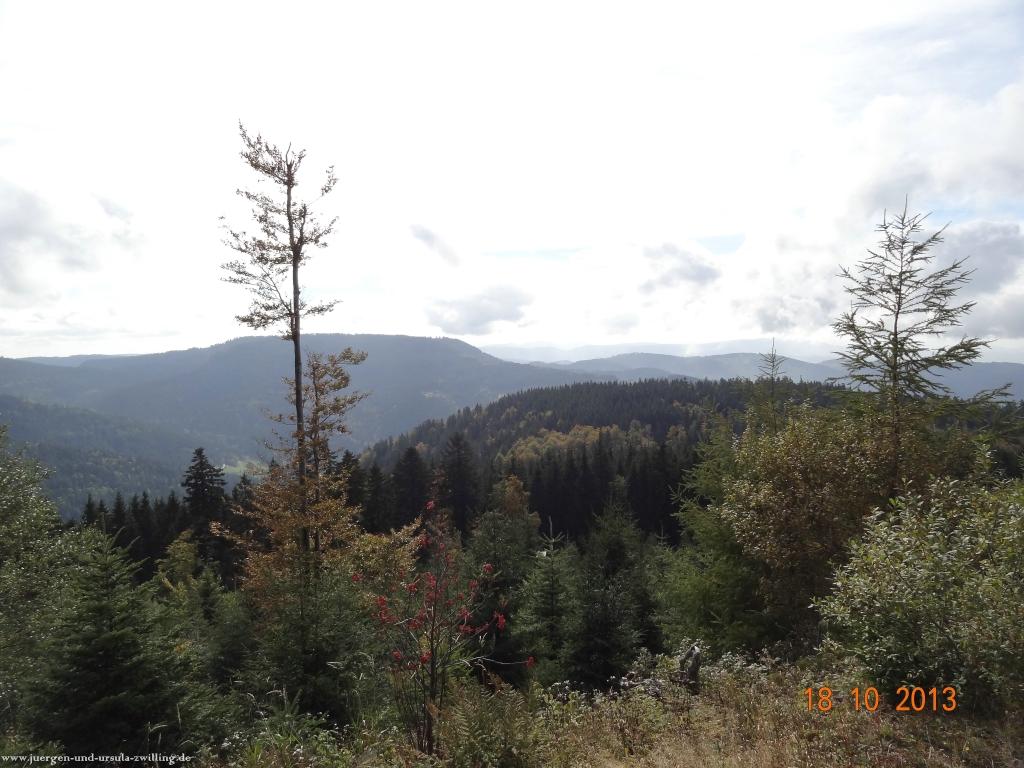 Philosophische Bildwanderung Sasbachwaldener Steig