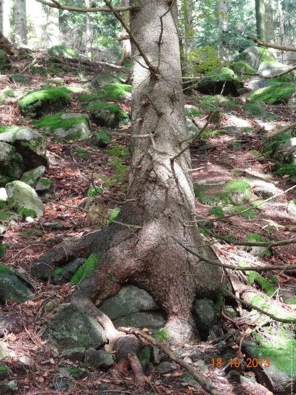 Philosophische Bildwanderung Sasbachwaldener Steig