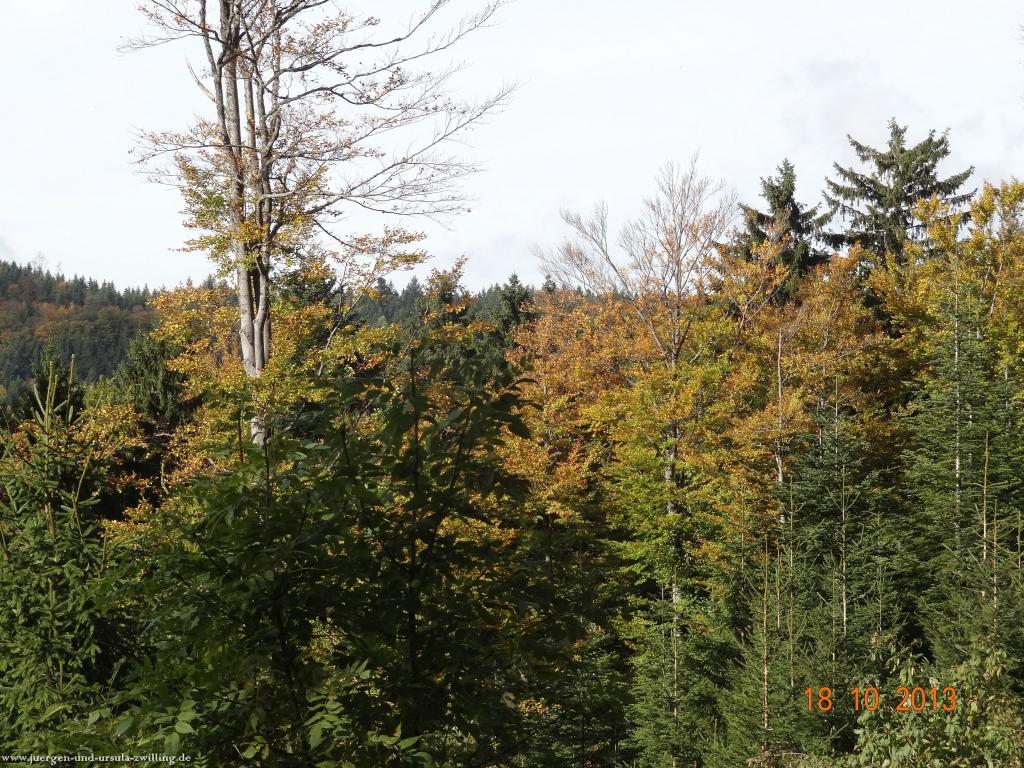 Philosophische Bildwanderung Sasbachwaldener Steig