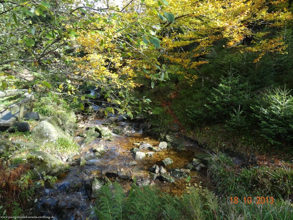 Philosophische Bildwanderung Sasbachwaldener Steig