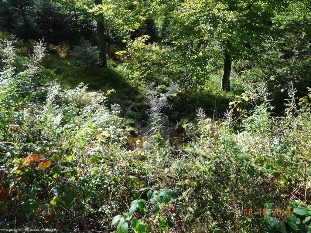 Philosophische Bildwanderung Sasbachwaldener Steig