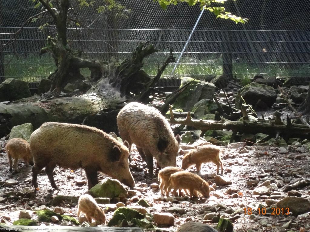 Philosophische Bildwanderung Sasbachwaldener Steig