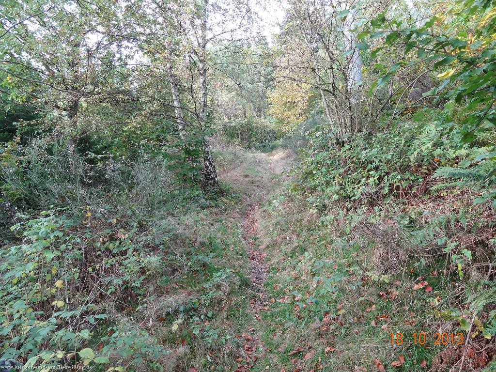 Philosophische Bildwanderung Sasbachwaldener Steig