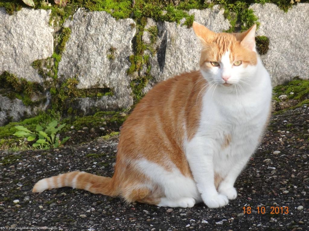 Philosophische Bildwanderung Sasbachwaldener Steig