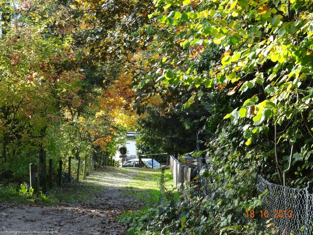 Philosophische Bildwanderung Sasbachwaldener Steig