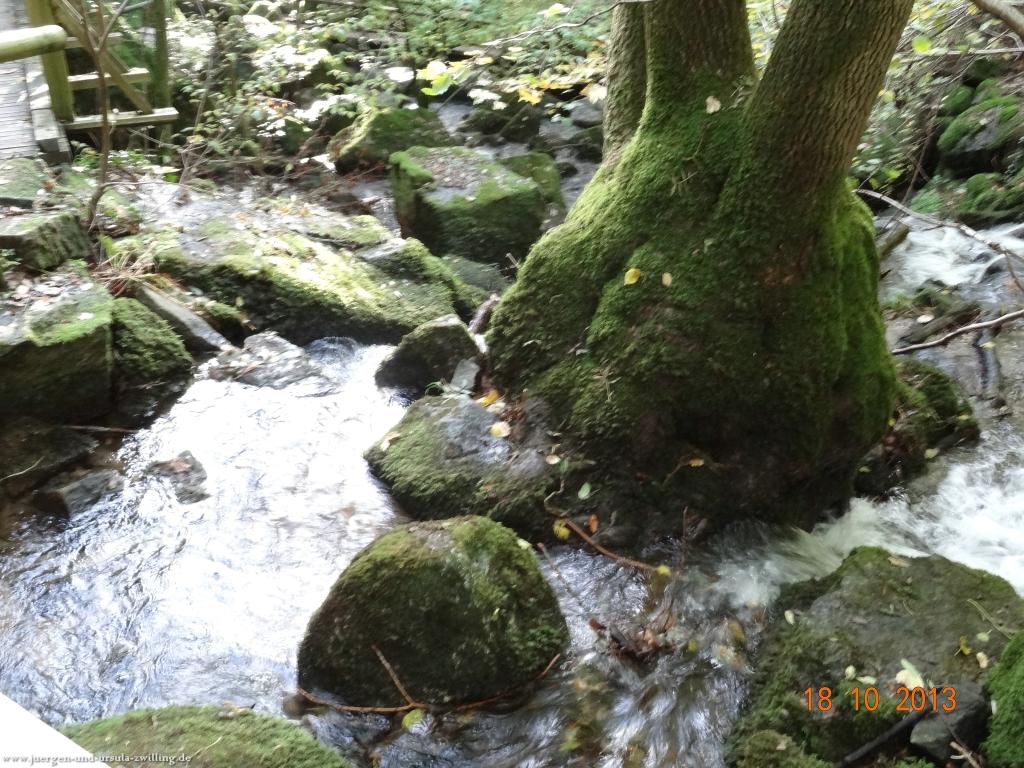 Philosophische Bildwanderung Sasbachwaldener Steig