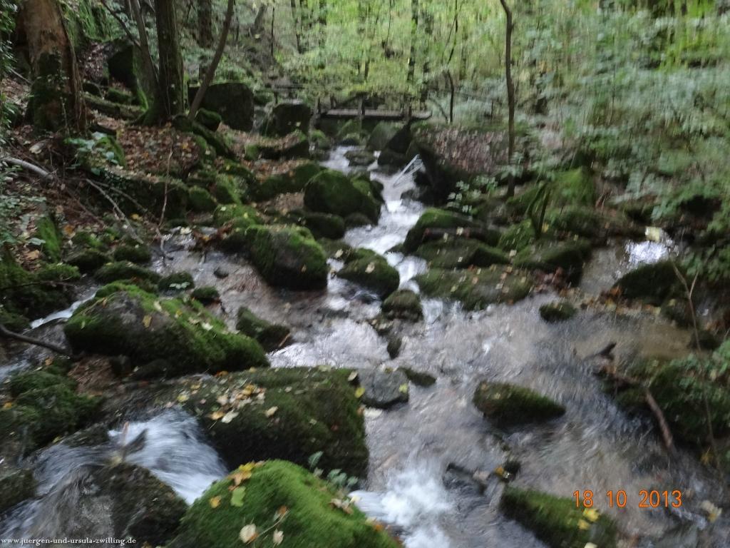 Philosophische Bildwanderung Sasbachwaldener Steig