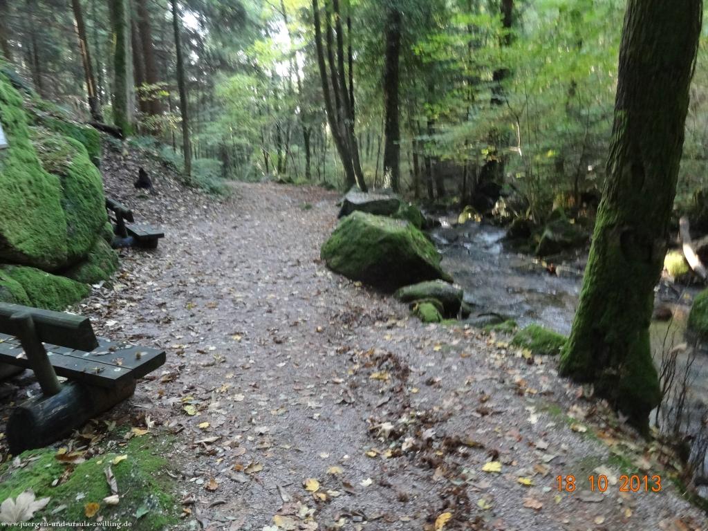 Philosophische Bildwanderung Sasbachwaldener Steig