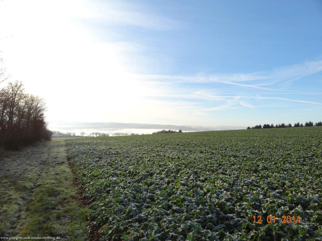 Philosophische Bildwanderung Vitaltour-Felsengarten - Nahe