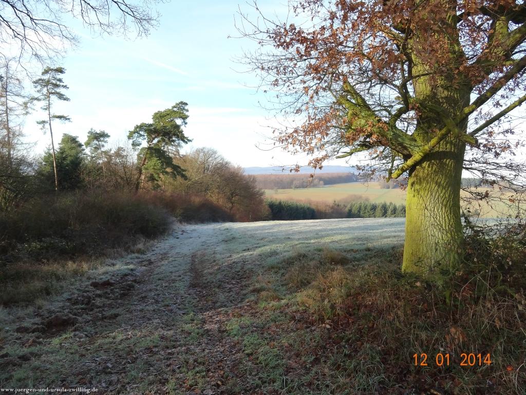 Philosophische Bildwanderung Vitaltour-Felsengarten - Nahe