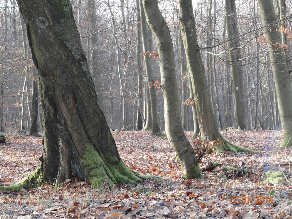 Philosophische Bildwanderung Vitaltour-Felsengarten - Nahe