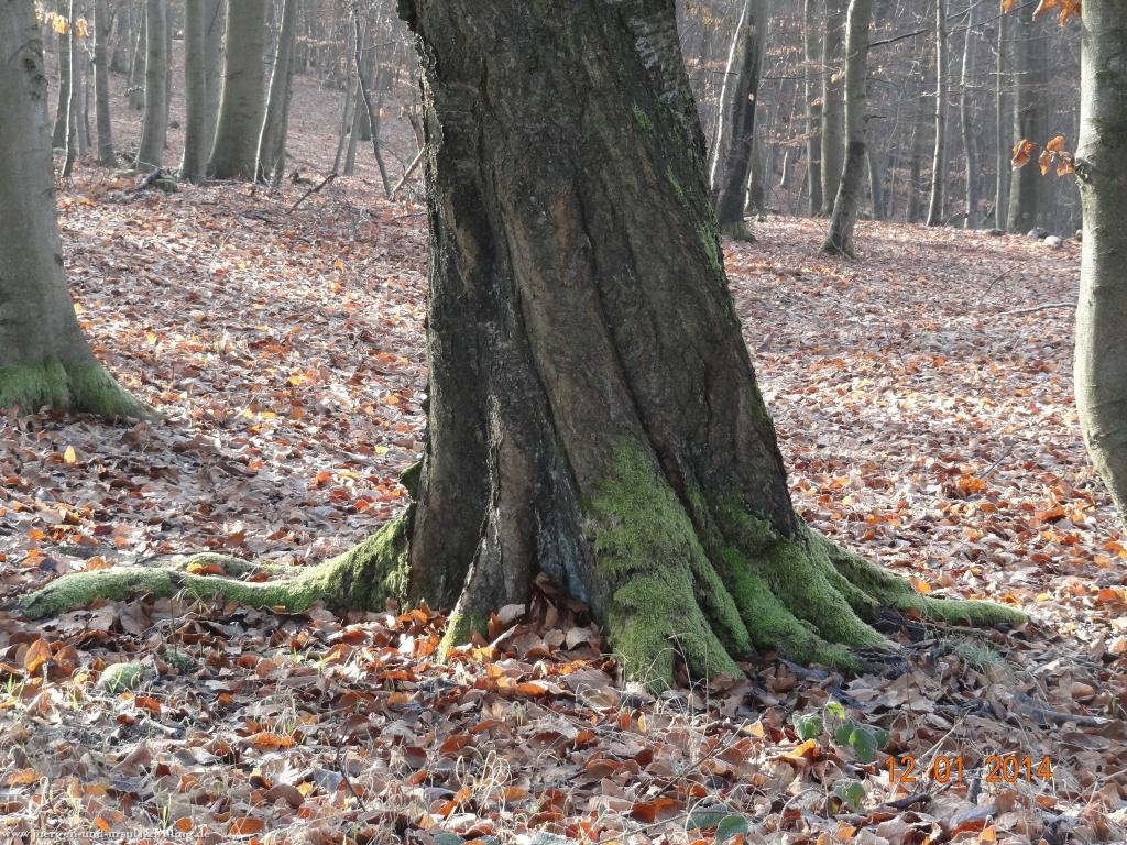 Philosophische Bildwanderung Vitaltour-Felsengarten - Nahe