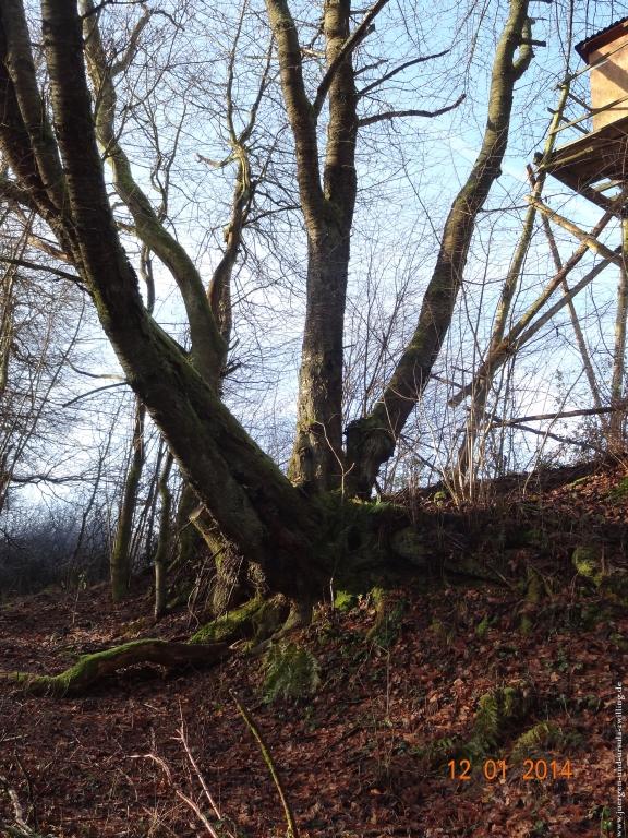 Philosophische Bildwanderung Vitaltour-Felsengarten - Nahe