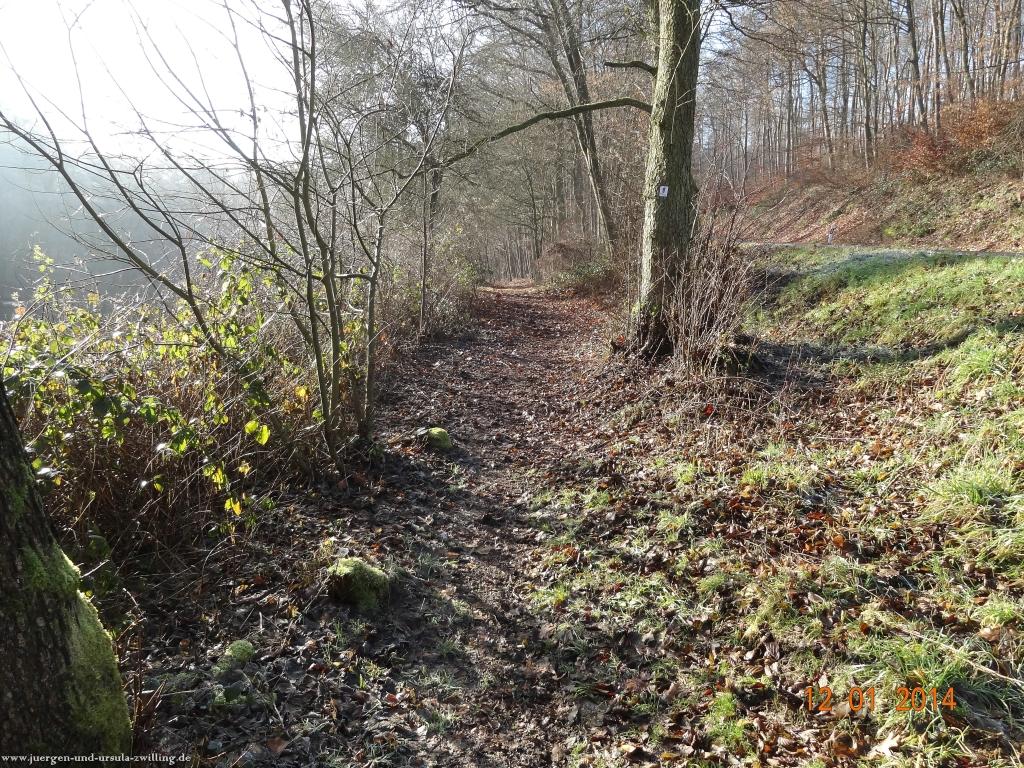 Philosophische Bildwanderung Vitaltour-Felsengarten - Nahe