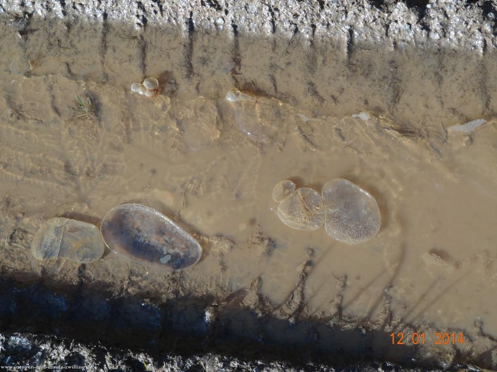 Philosophische Bildwanderung Vitaltour-Felsengarten - Nahe