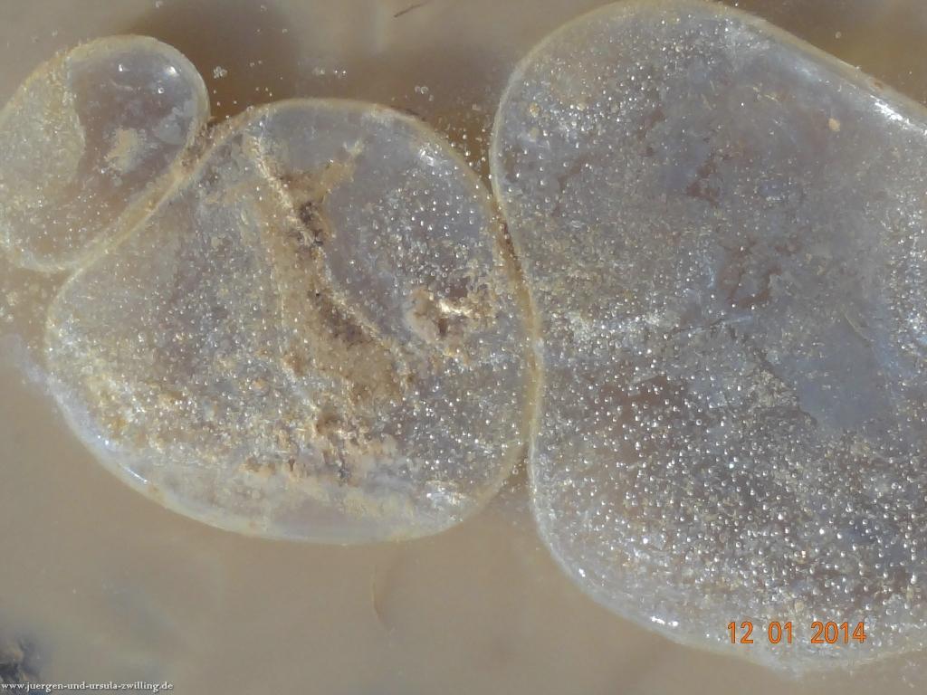 Philosophische Bildwanderung Vitaltour-Felsengarten - Nahe