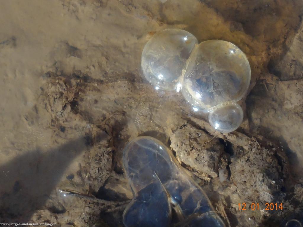 Philosophische Bildwanderung Vitaltour-Felsengarten - Nahe