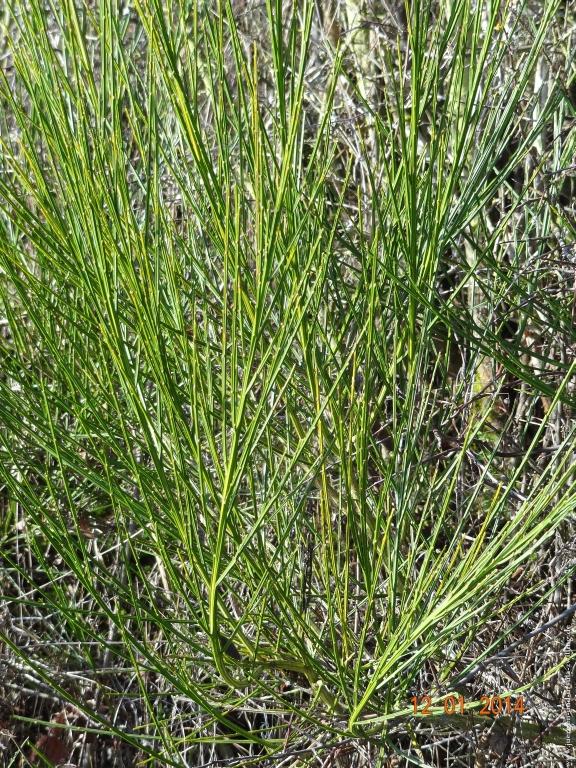 Philosophische Bildwanderung Vitaltour-Felsengarten - Nahe