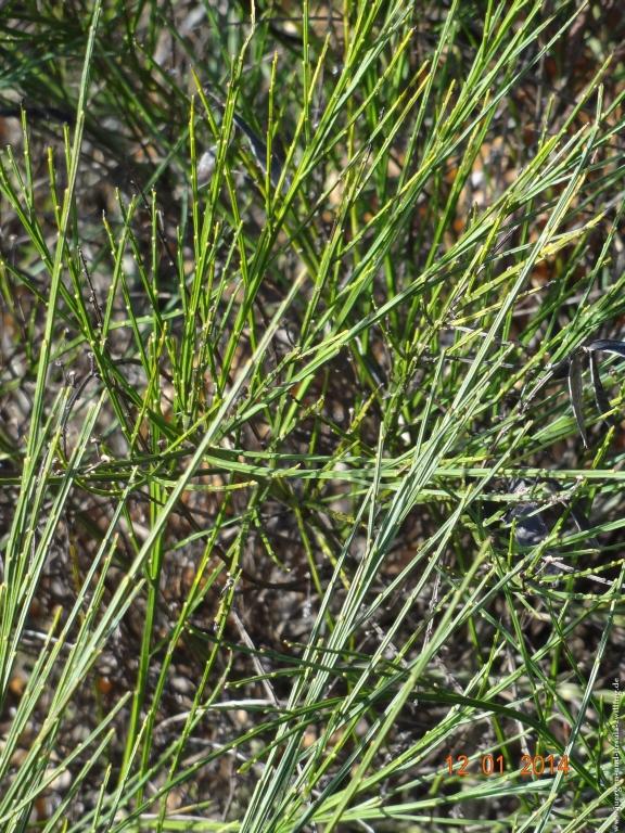 Philosophische Bildwanderung Vitaltour-Felsengarten - Nahe