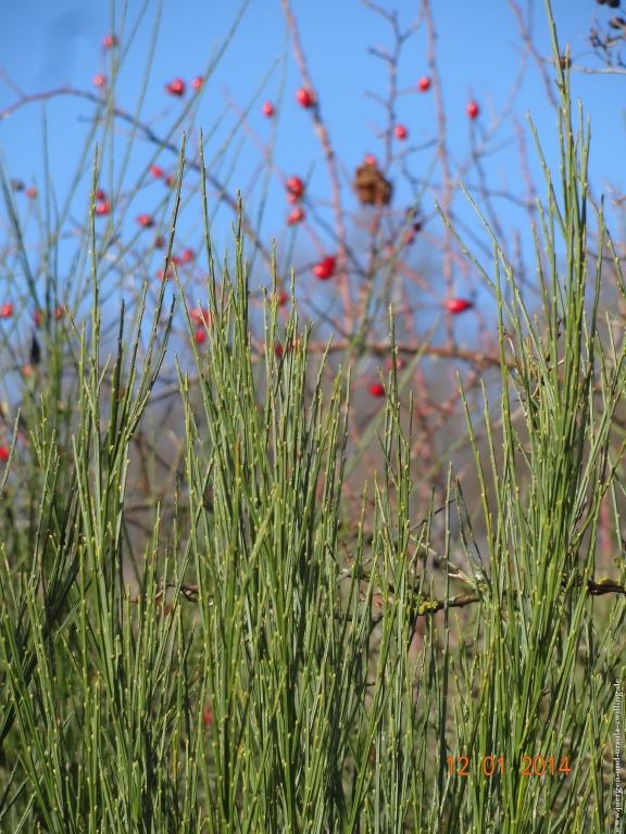 Philosophische Bildwanderung Vitaltour-Felsengarten - Nahe