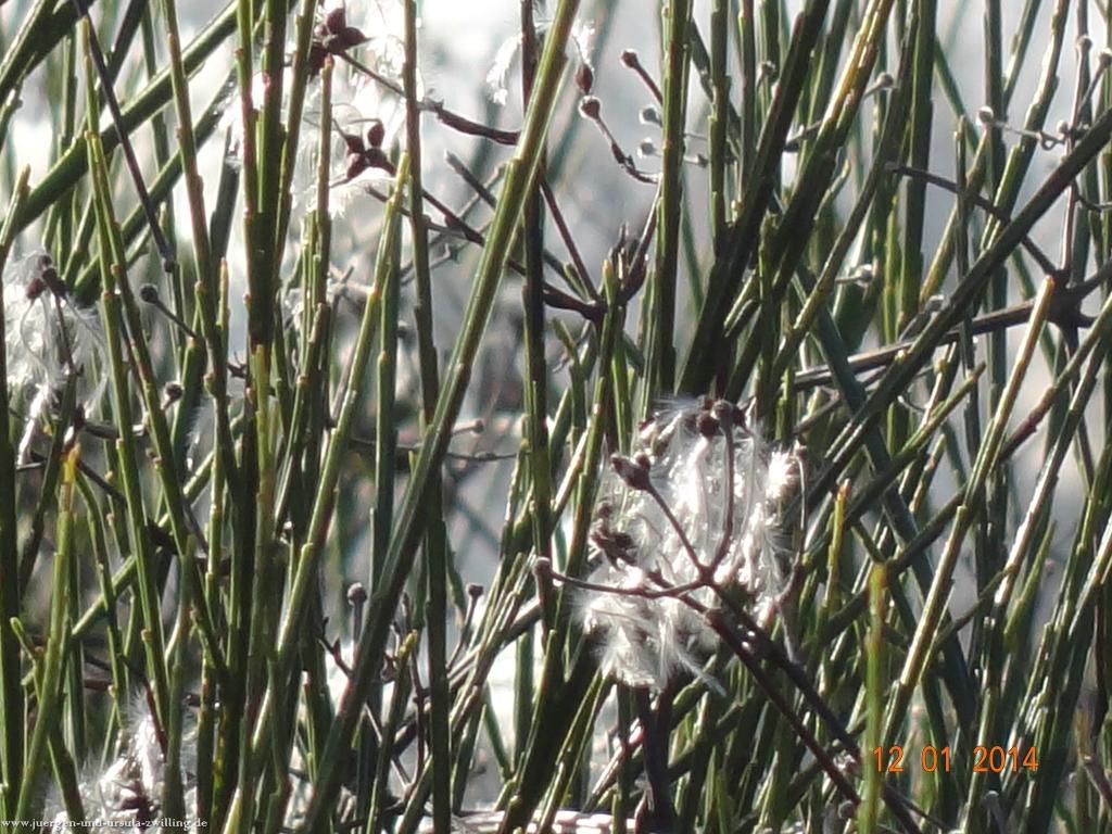 Philosophische Bildwanderung Vitaltour-Felsengarten - Nahe