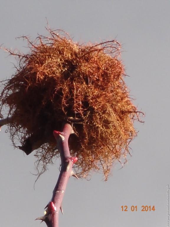 Philosophische Bildwanderung Vitaltour-Felsengarten - Nahe