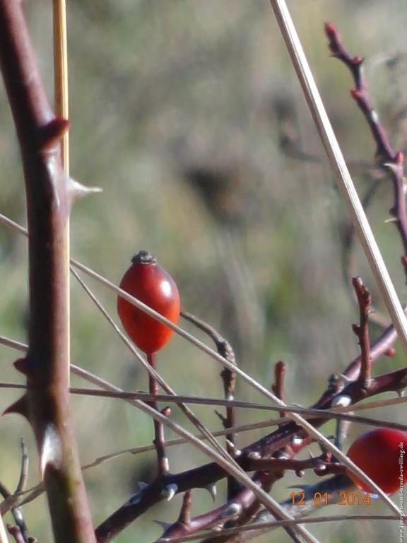 Philosophische Bildwanderung Vitaltour-Felsengarten - Nahe