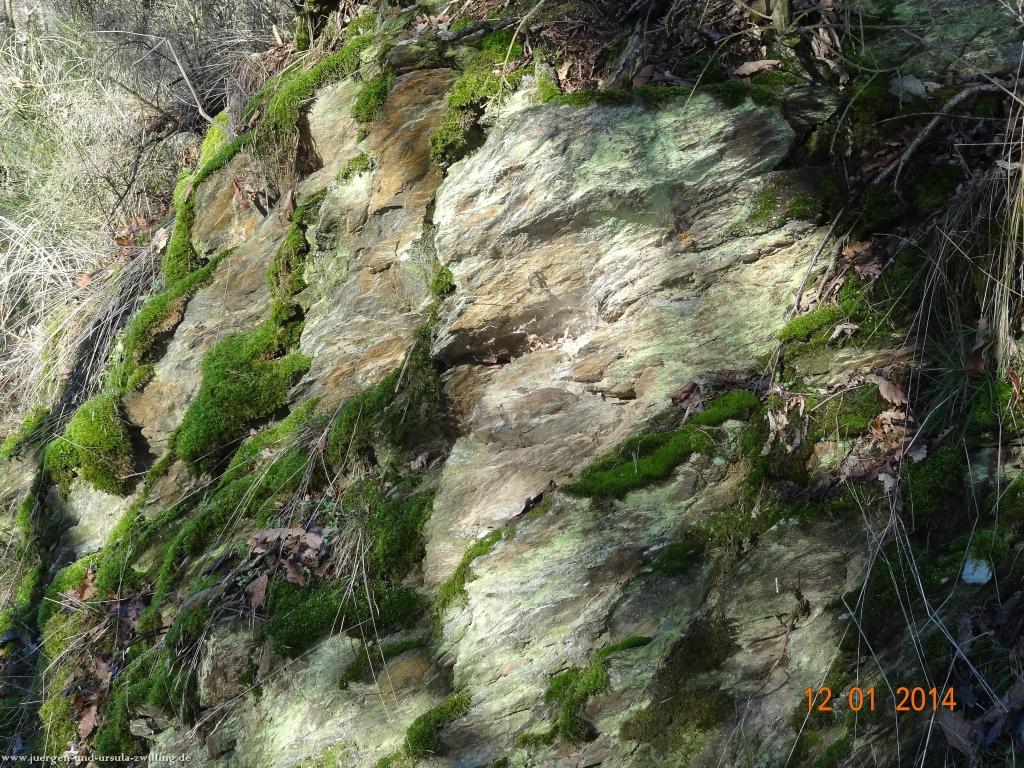 Philosophische Bildwanderung Vitaltour-Felsengarten - Nahe