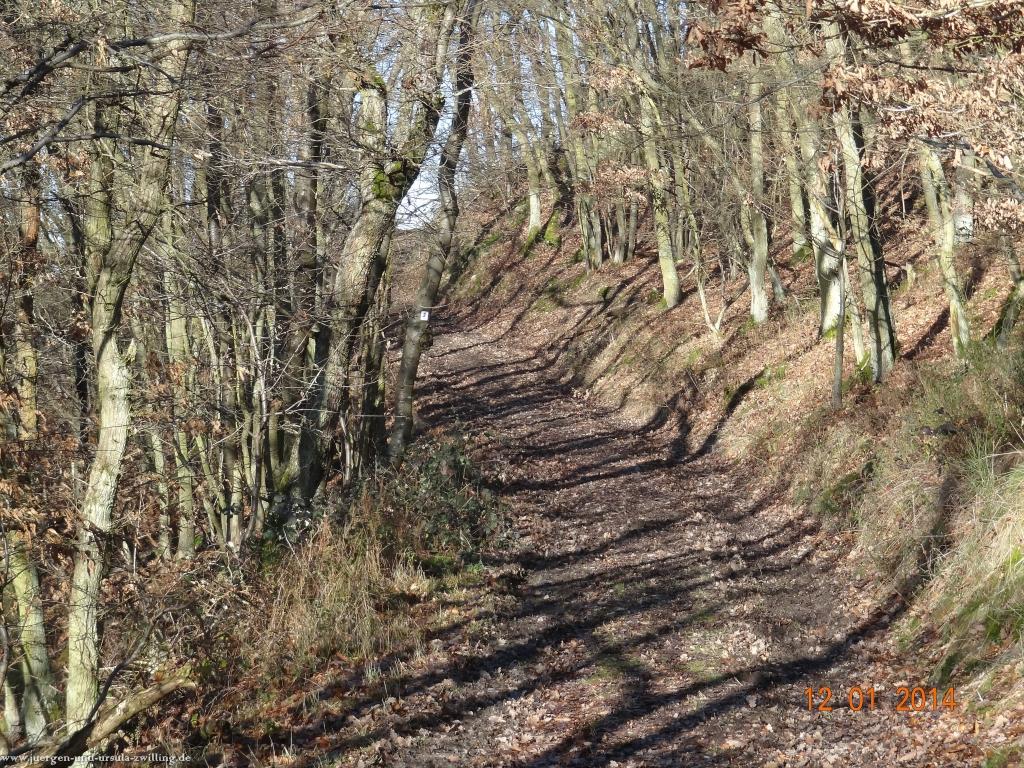 Philosophische Bildwanderung Vitaltour-Felsengarten - Nahe