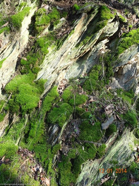 Philosophische Bildwanderung Vitaltour-Felsengarten - Nahe