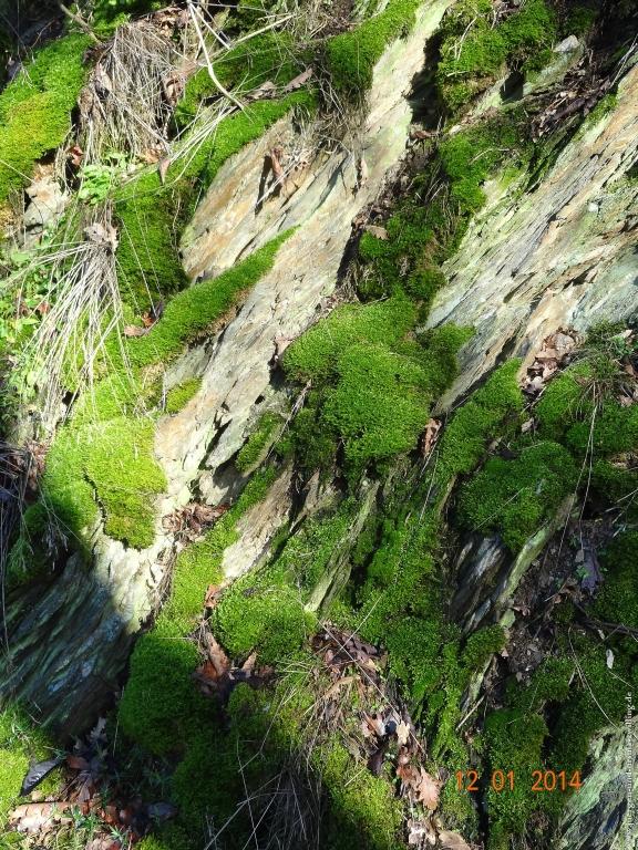 Philosophische Bildwanderung Vitaltour-Felsengarten - Nahe