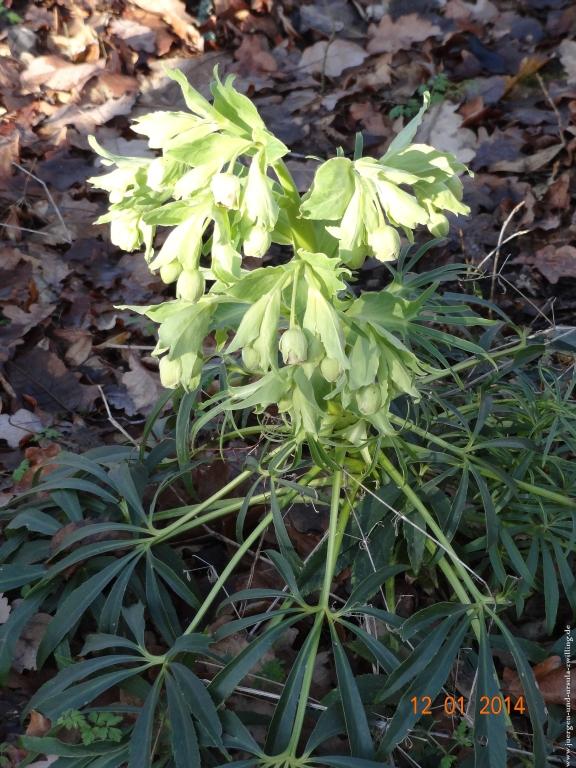 Philosophische Bildwanderung Vitaltour-Felsengarten - Nahe