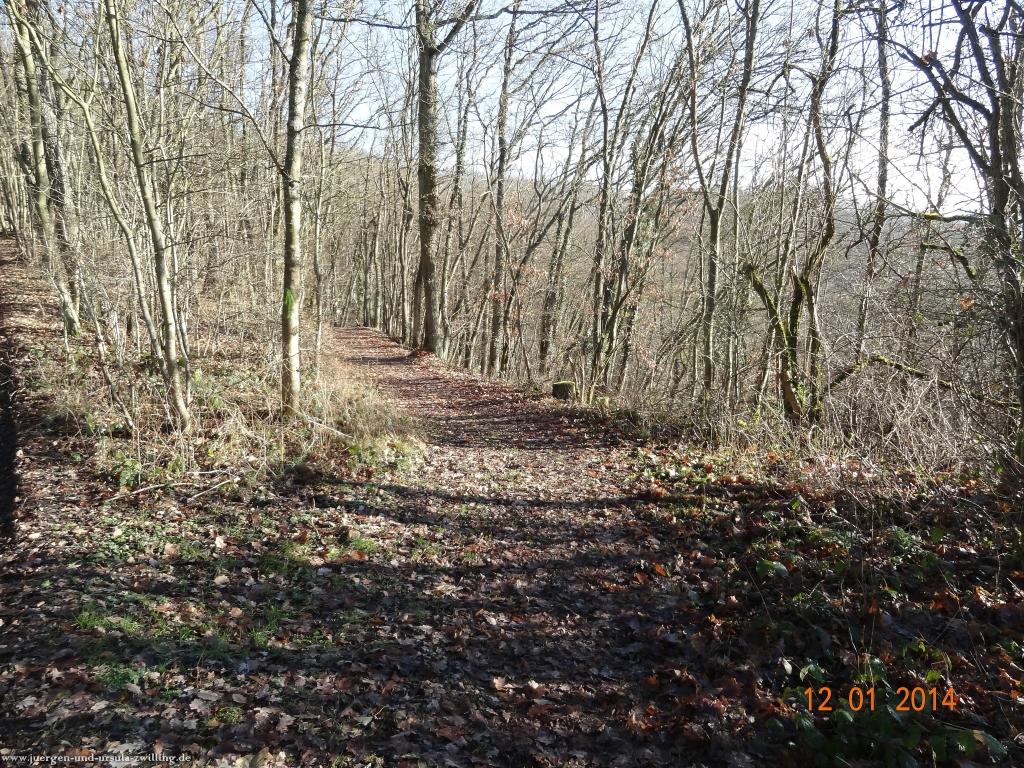 Philosophische Bildwanderung Vitaltour-Felsengarten - Nahe