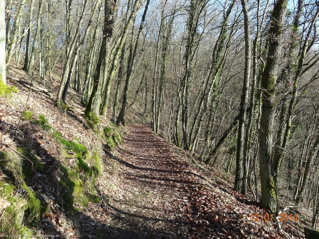 Philosophische Bildwanderung Vitaltour-Felsengarten - Nahe