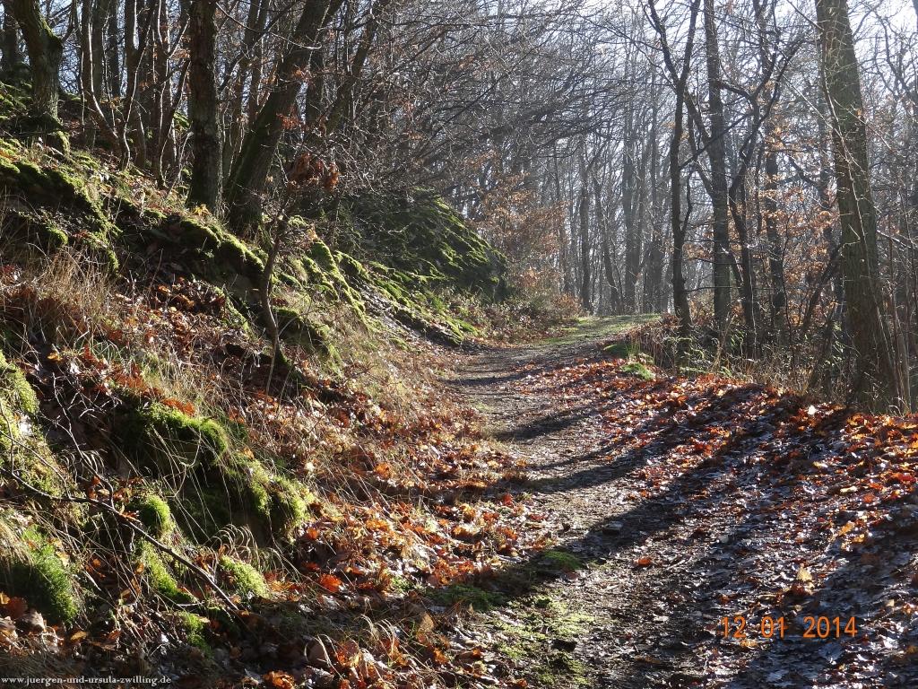 Philosophische Bildwanderung Vitaltour-Felsengarten - Nahe