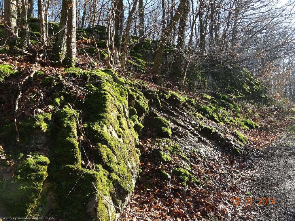 Philosophische Bildwanderung Vitaltour-Felsengarten - Nahe