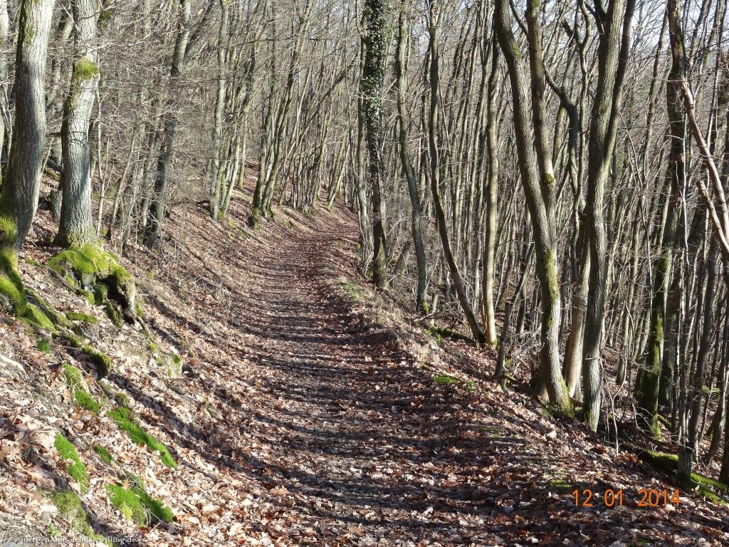 Philosophische Bildwanderung Vitaltour-Felsengarten - Nahe