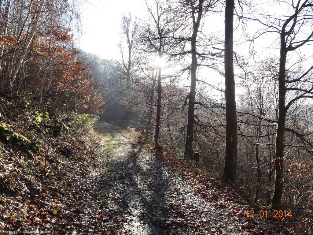 Philosophische Bildwanderung Vitaltour-Felsengarten - Nahe