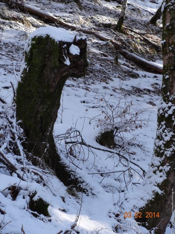 Philosophische Bildwanderung - Winterwanderung- Allgaeu Gerstruben - ein Bergdorf im Winter
