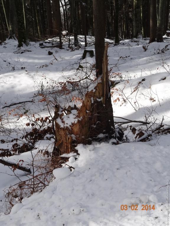 Philosophische Bildwanderung - Winterwanderung- Allgaeu Gerstruben - ein Bergdorf im Winter