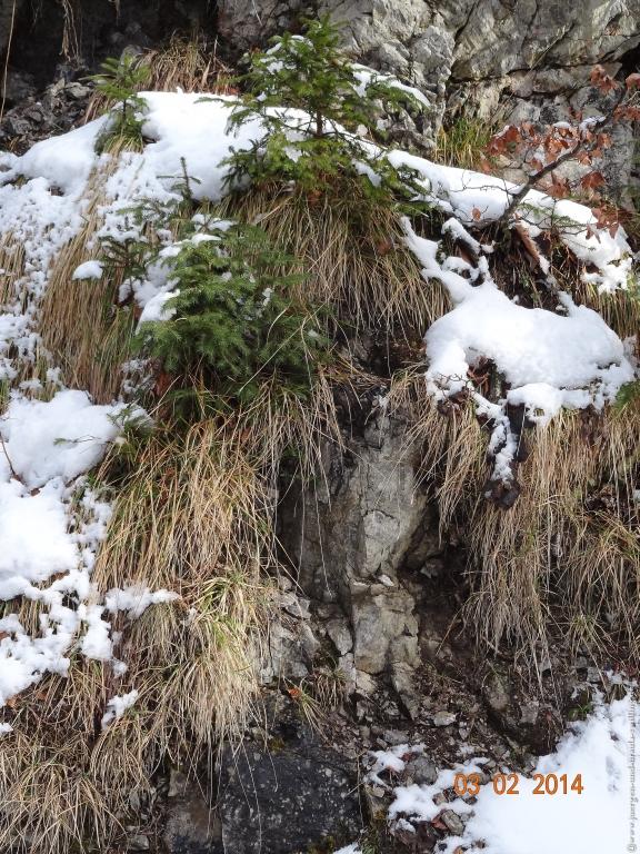 Philosophische Bildwanderung - Winterwanderung- Allgaeu Gerstruben - ein Bergdorf im Winter