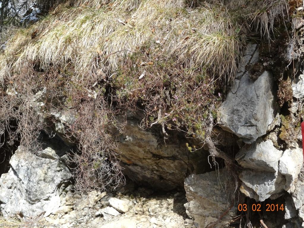 Philosophische Bildwanderung - Winterwanderung- Allgaeu Gerstruben - ein Bergdorf im Winter