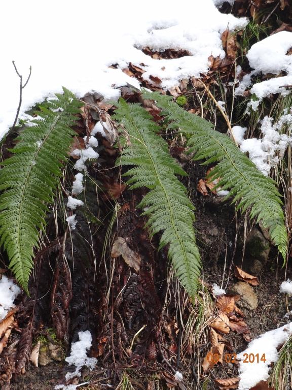 Philosophische Bildwanderung - Winterwanderung- Allgaeu Gerstruben - ein Bergdorf im Winter