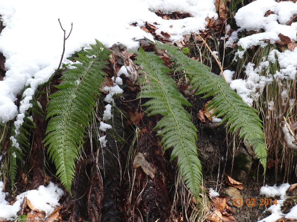 Philosophische Bildwanderung - Winterwanderung- Allgaeu Gerstruben - ein Bergdorf im Winter