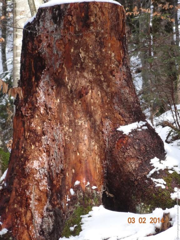 Philosophische Bildwanderung - Winterwanderung- Allgaeu Gerstruben - ein Bergdorf im Winter