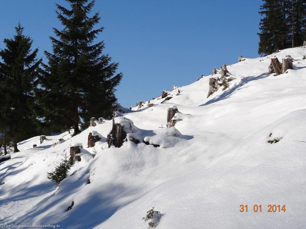 Philosophische Bildwanderung - Winterwanderung ins Oytal im Allgaeu