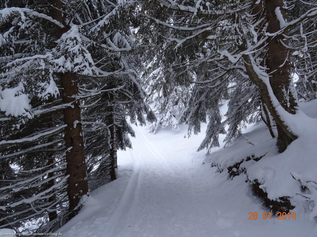 Philosophische Bildwanderung - Winterwanderung-Vom Schönblick nach Hochleite - im Allgaeu