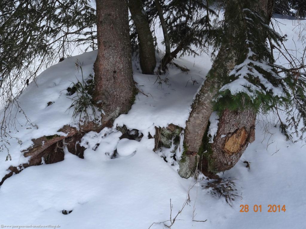 Philosophische Bildwanderung - Winterwanderung-Vom Schönblick nach Hochleite - im Allgaeu