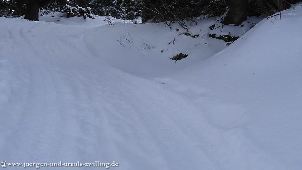 Philosophische Bildwanderung - Winterwanderung-Vom Schönblick nach Hochleite - im Allgaeu